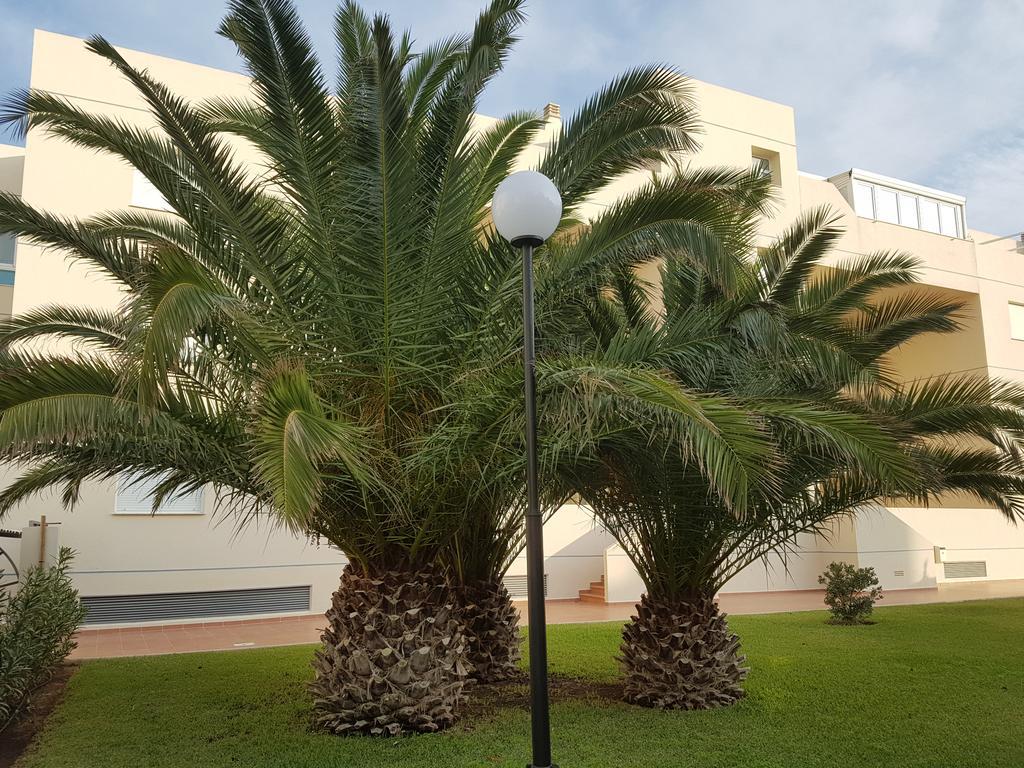 Alondras Playa Denia Lägenhet Exteriör bild